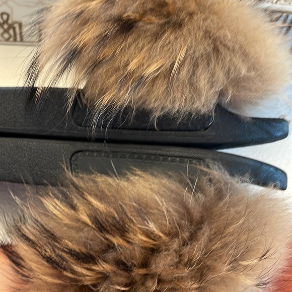 Fox Slides - Picture 8 of 10